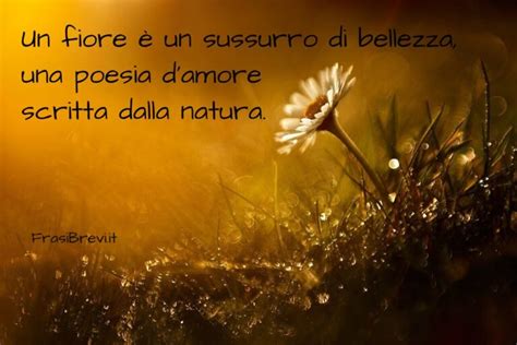 aforismi tra i fiori|Frasi, citazioni e aforismi sui fiori .